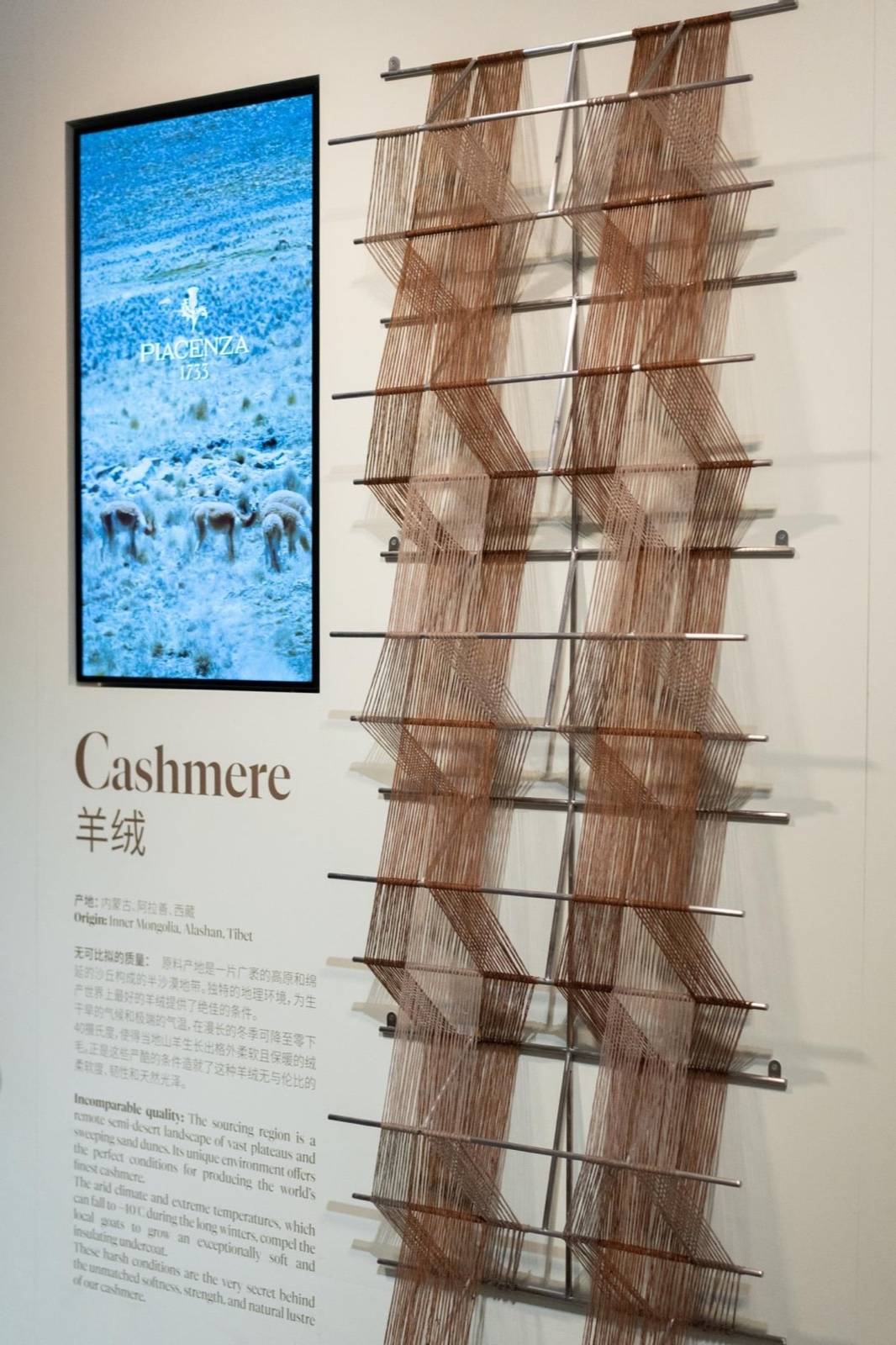 20251127011857367677.jpg 图片38.jpg