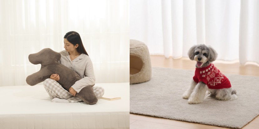 1764666883519567.png 1764666883519567.png