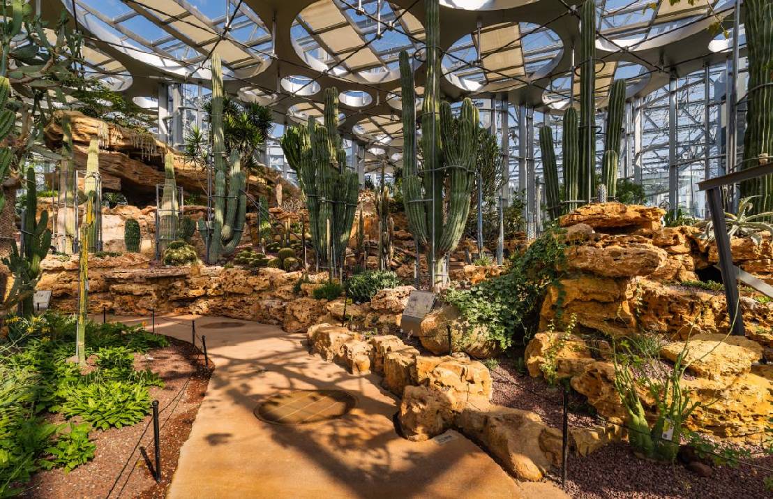 20251205091810857922.jpg 8.jpg