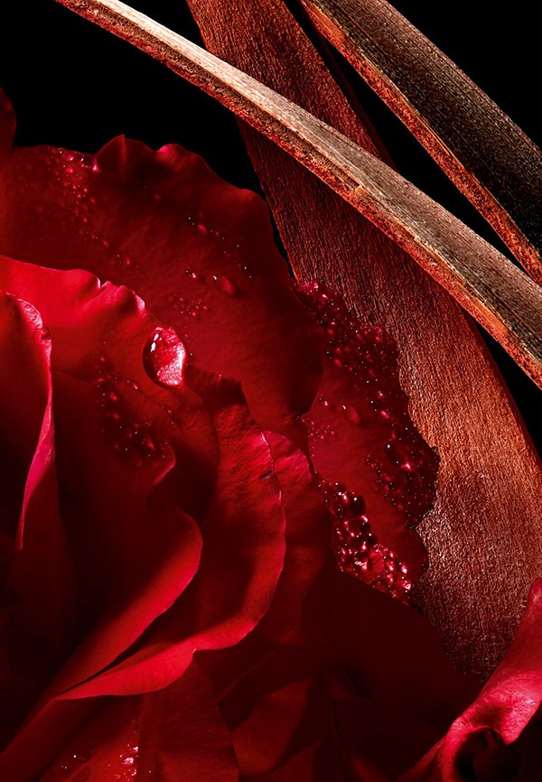 20251208001145576343.png 图片15.png