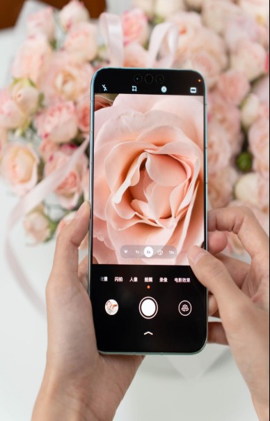 20251231441505724226.png image.png